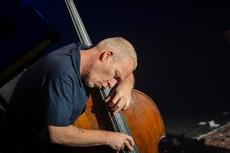 Avishai Cohen Trio, 25.03.2025, Volkshaus Zürich